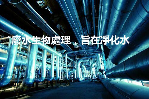 “廢水生物處理，旨在凈化水源，守護碧水藍天”